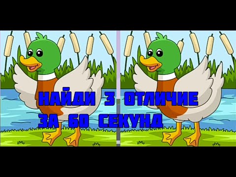 Видео: Найди 3 отличие за 60 секунд