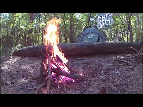 Видео: ПВД 2022 | Одиночный поход в лес с палаткой | SOLO BUSHCRAFT CAMP