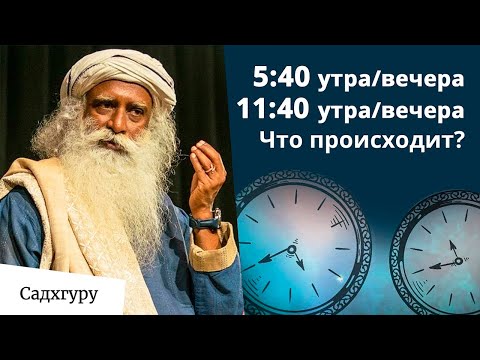 Видео: Как меняется энергия в течение дня?
