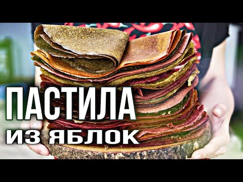 Видео: Пастила и наш домашний рецепт, технологии приготовления яблочной пастилы, дегидратор или духовка