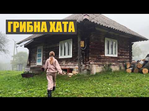 Видео: Це найкращий відпочинок! Купив стару хату в Карпатах і не жалію! Збираємо карпатські гриби
