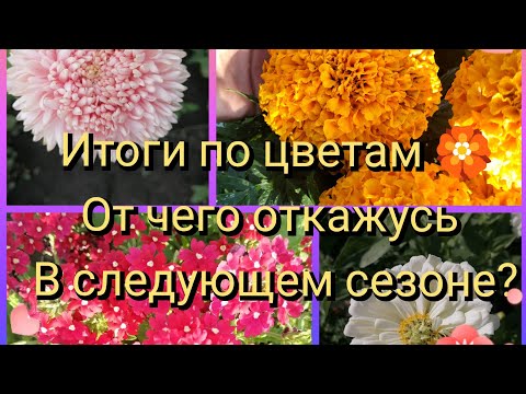 Видео: Итоги по цветам ,от чего хочу отказаться