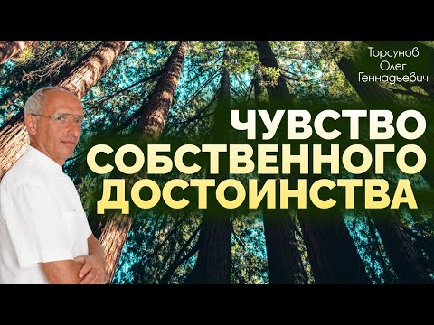 Видео: Чувство собственного достоинства. Торсунов О. Г. 2019 Хабаровск