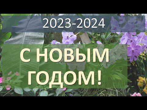 Видео: С Новым 2024 Годом!