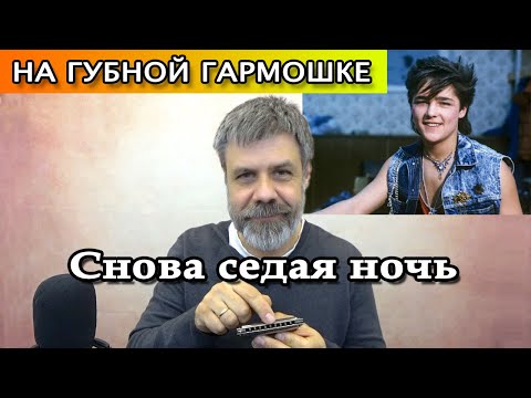 Видео: Седая ночь на губной гармошке