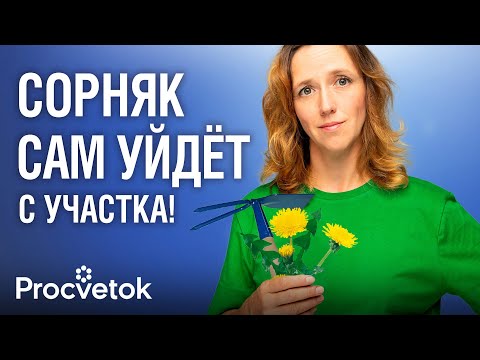 Видео: ИЗ-ЗА ЭТОЙ ОШИБКИ СОРНЯКОВ СТАНОВИТСЯ В РАЗЫ БОЛЬШЕ! Как быстро и легко избавиться от всех сорняков