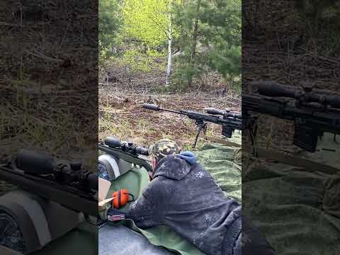 Видео: Тигр 7.62х54R