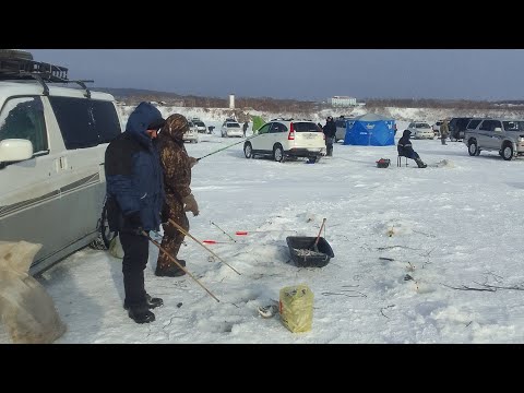 Видео: Рыбалка  Де-Кастри, 17-18 декабря , бухта Самон .