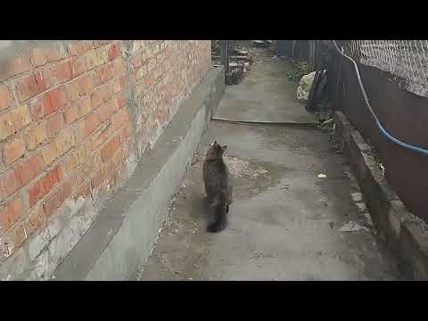 Видео: 🤪😉 А С ВАМИ БЫВАЕТ ТАКОЕ?🤪😉