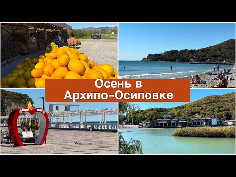 Видео: Зимовка в Геленджике. Чудесная осень в Архипо-Осиповке.