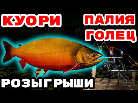 Видео: МЕДНОЕ ЦВЕТНЫЕ КАРПЫ и МОРЕ 🎁 В  РУЛЕТКЕ - РАПТОР, ВЕНГА, РОД ПОД 🔴 РОЗЫГРЫШИ И ТУРНИРЫ 💥СТРИМ РР4