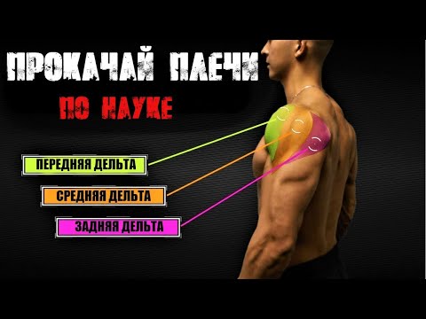 Видео: КАК НАКАЧАТЬ ПЛЕЧИ ПО НАУКЕ - полный разбор | Джереми Этье