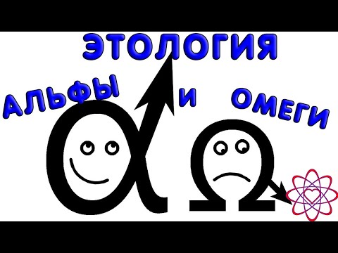 Видео: Этология человека. Мужчины альфа самцы и омега самцы