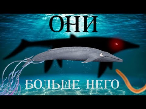 Видео: Эти животные БОЛЬШЕ СИНЕГО КИТА!