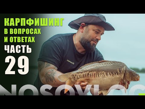 Видео: Карпфишинг в вопросах и ответах, выпуск 29, А. Колесников