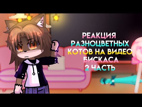 Видео: реакция разноцветных котов на видео бискаса часть 2