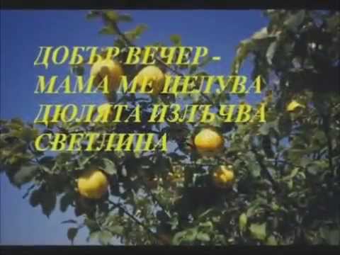 Видео: Марияна и Тодор Трайчеви - Завръщане