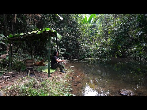 Видео: Bamboo Survival Shelter, Ручная рыбалка, Catch and Cook: Survival Alone | ЭП.242