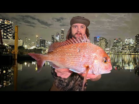 Видео: Лучшее место для рыбалки!