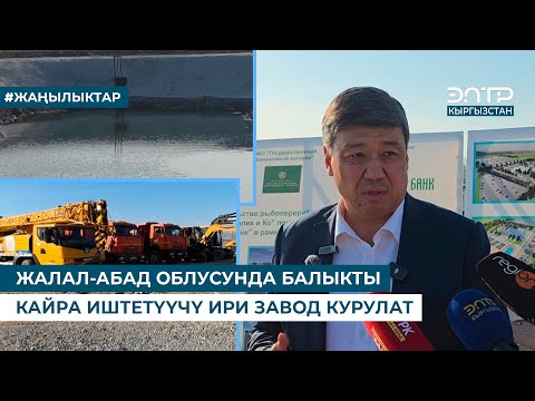 Видео: ЖАЛАЛ-АБАД ОБЛУСУНДА БАЛЫКТЫ КАЙРА ИШТЕТҮҮЧҮ ИРИ ЗАВОД КУРУЛАТ
