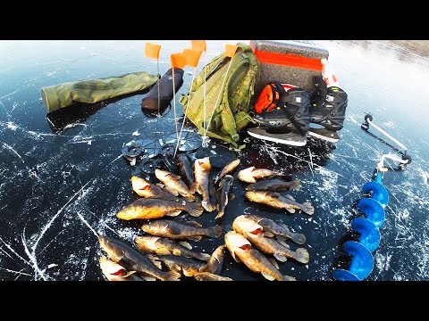 Видео: ВОТ КАК НАДО ЛОВИТЬ РОТАНОВ-МОНСТРОВ!!! Это мой лучший первый лед! ЗИМНЯЯ РЫБАЛКА 2019-2020