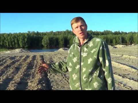 Видео: Эко2 Биогумус из куриного помёта под картофель. Андрей Ткаченко