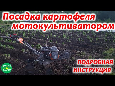 Видео: Посадка картофеля культиватором или мотоблоком (Husqvarna TF 230)