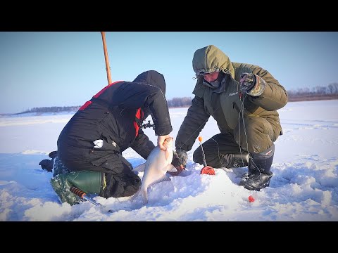 Видео: УЕХАЛ В СИБИРЬ НА РЫБАЛКУ и узнал СТРАШНУЮ ТАЙНУ. Рыбалка на крупного леща.  Комбайны на леща.