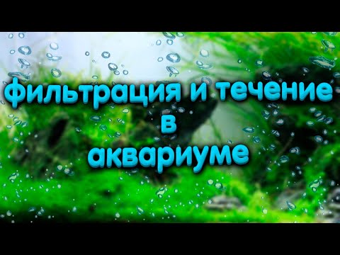 Видео: Фильтрация и течение в аквариуме. Мощность аквариумного фильтра.