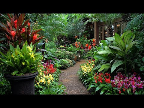 Видео: Тенденции садовых оазисов 2025: стильный и роскошный ландшафтный дизайн в стиле оазиса для вашего...
