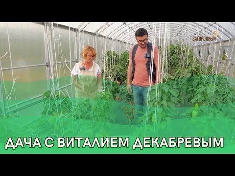 Видео: Дача с Виталием Декабревым Сезон 3 / Выпуск 2