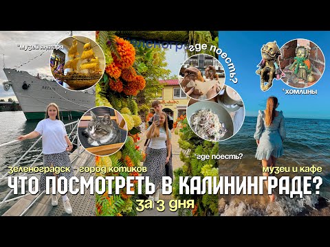 Видео: ВЛОГ ЧТО ПОСМОТРЕТЬ за 4 дня в КАЛИНИНГРАДЕ/стоит ли ехать?/ЗЕЛЕНОГРАДСК/Музей Мирового океана/2024
