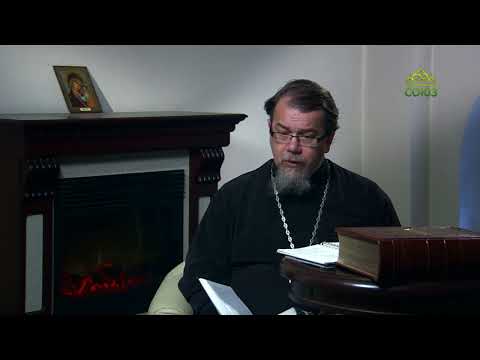 Видео: Читаем Добротолюбие. «Вольность – беда отношений». Священник Константин Корепанов