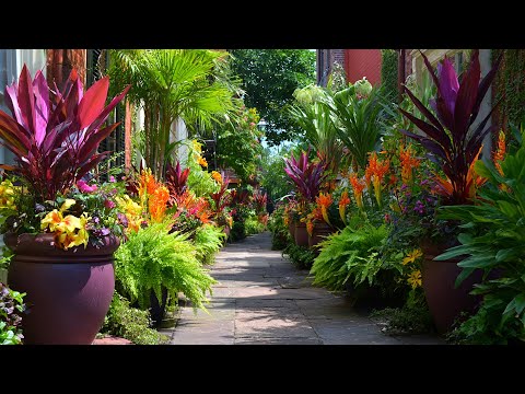 Видео: Ландшафтный дизайн дворика «Оазис»: свежий, пышный дизайн дворика, который освежит ваш дом к Ново...