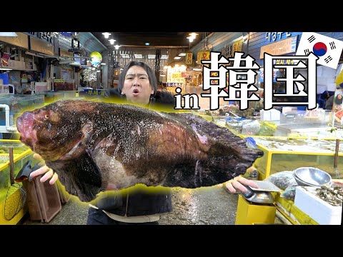 Видео: [Зарубежье] Корейские рынки, полные рыбы! С «Kimagure Cook».