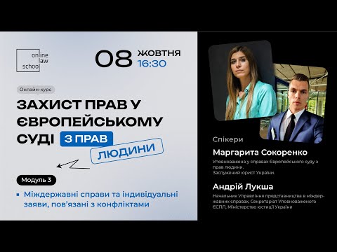 Видео: Міждержавні справи та індивідуальні заяви, пов'язані з конфліктами