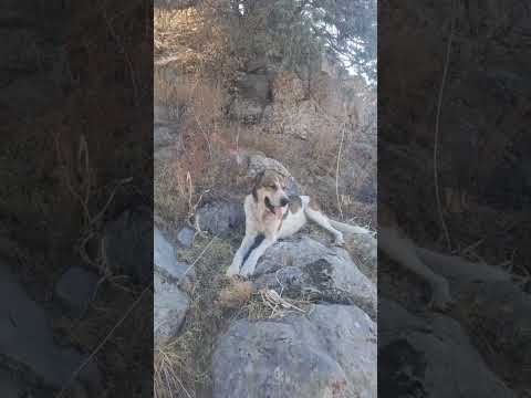 Видео: 26 октября 2025 г.