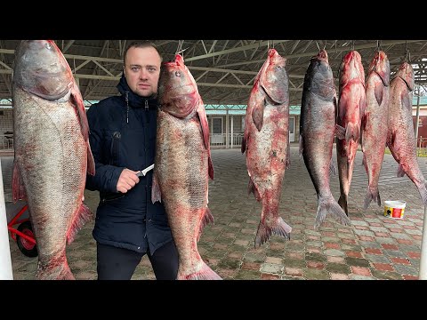 Видео: Огромный Рыбный Базар Узбекистана! Ташкент!Чиназ!