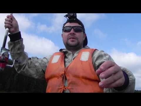 Видео: Рыбалка на Хариуса. Енисей. Луговское 10.08.2019