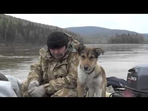Видео: Большой Пит