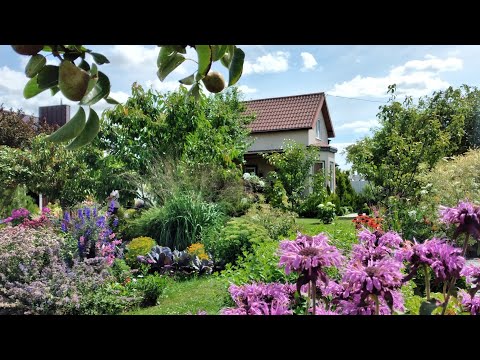 Видео: Хочу МАЛОУХОДНЫЙ ОГОРОД 🍅 Устройство Огорода 🍓 Выращивание Овощей #огород #теплица #урожай