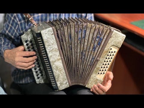 Видео: Гармошка Казань.Зміна тональності.Ремонт