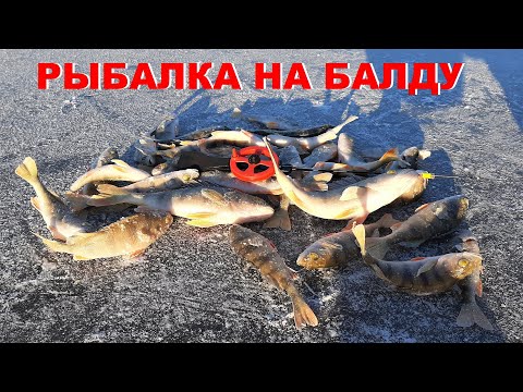 Видео: Ловля окуня на БАЛДУ.БАЛДА ЛОВИТ ВСЕГДА.Рыбалка на БАЛДУ.