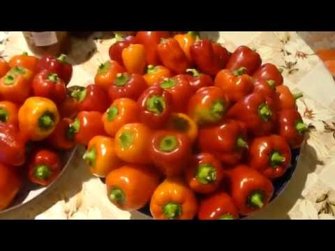 Видео: Жареные перцы в масле на зиму закрываем в банки.Grilled peppers in oil for the winter