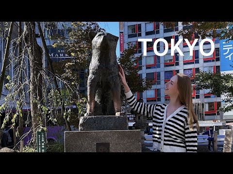 Видео: ТОКИО (Япония🇯🇵)/ Стюардесса Эмирейтс/ Emirates crew