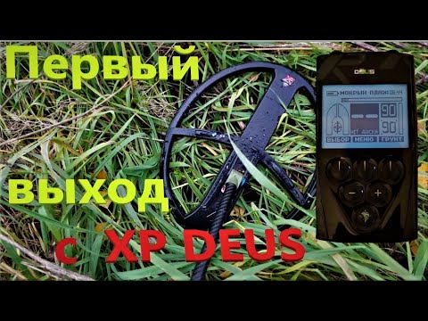 Видео: Копаем в первый раз : XP Deus