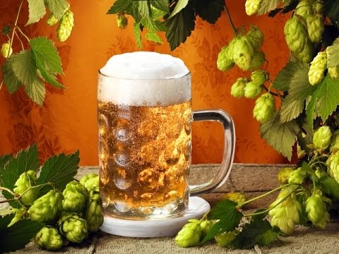 Видео: Как в деревне варили ПИВО