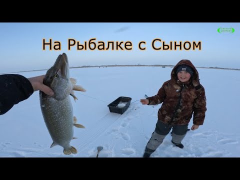 Видео: Рыбалка с Сыном!!!
