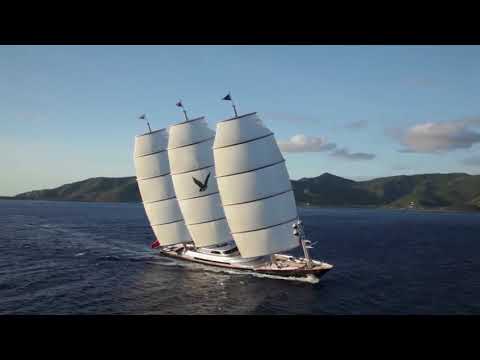 Видео: Мальтийский сокол