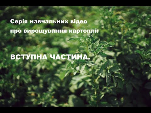 Видео: Навчання з вирощування картоплі. Вступна частина.